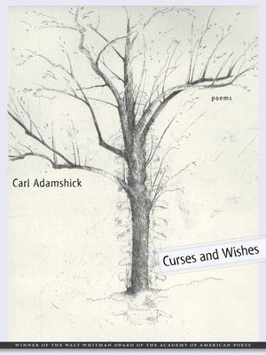 cover image of Curses and Wishes